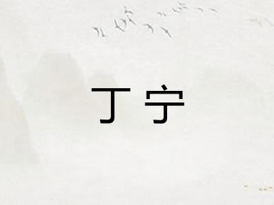 丁宁