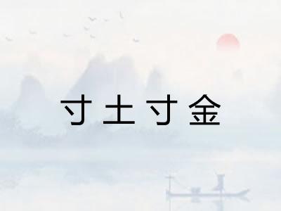 寸土寸金