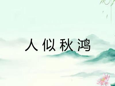 人似秋鸿