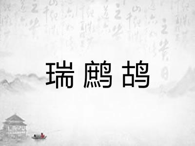 瑞鹧鸪