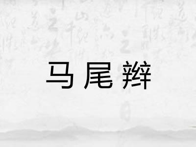 马尾辫