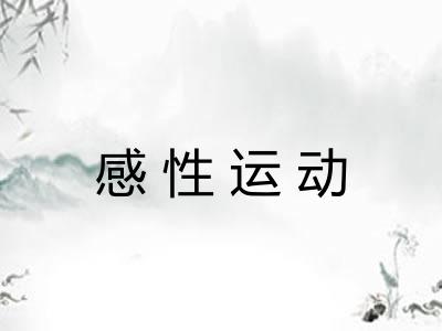 感性运动
