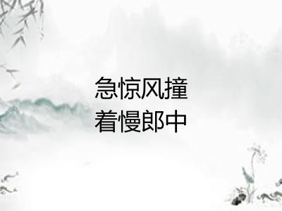 急惊风撞着慢郎中