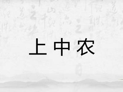 上中农