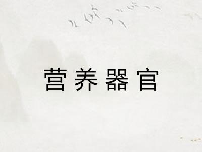 营养器官
