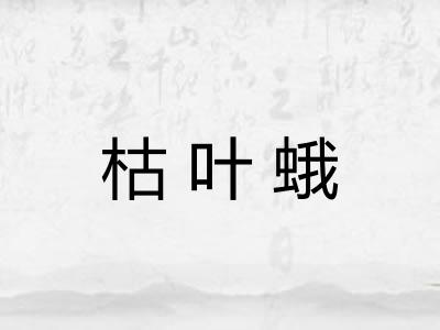 枯叶蛾