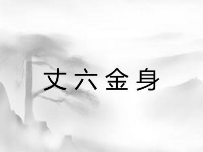 丈六金身