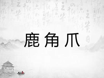 鹿角爪