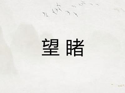 望睹