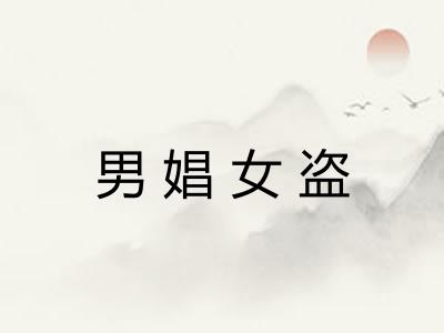 男娼女盗