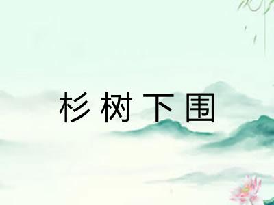 杉树下围