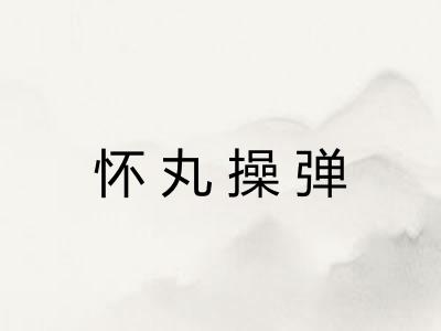 怀丸操弹