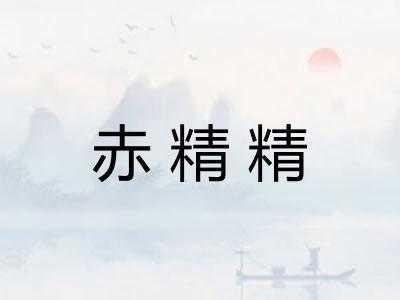 赤精精