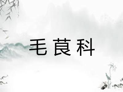 毛茛科