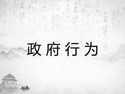 政府行为
