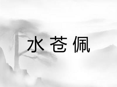 水苍佩