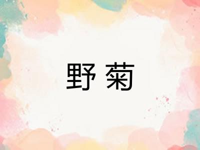 野菊