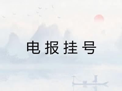 电报挂号
