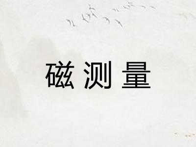磁测量