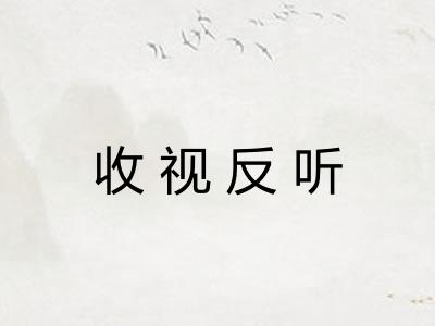 收视反听