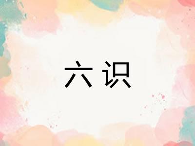 六识