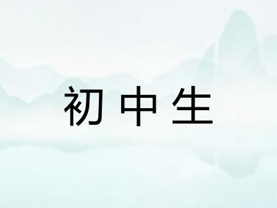 初中生