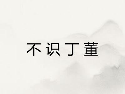 不识丁董