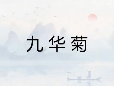 九华菊