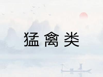 猛禽类