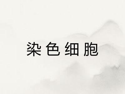 染色细胞