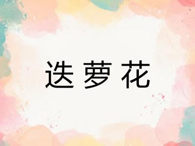 迭萝花