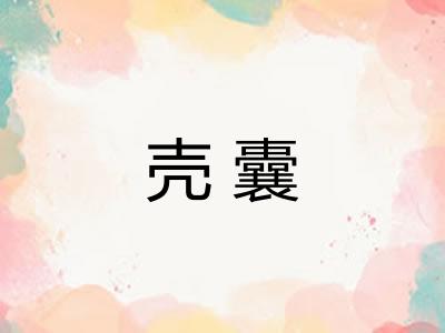 壳囊