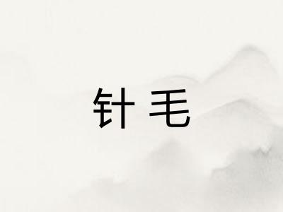 针毛