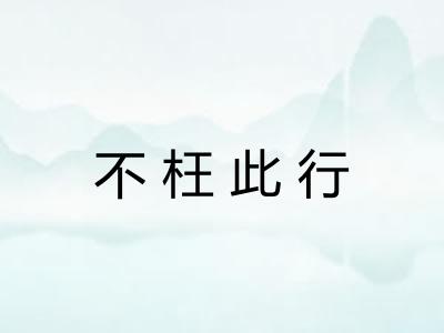 不枉此行