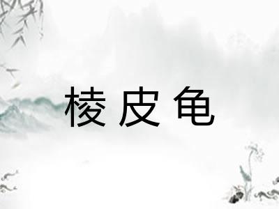 棱皮龟