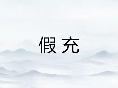 假充
