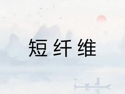 短纤维