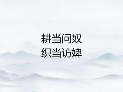 耕当问奴织当访婢
