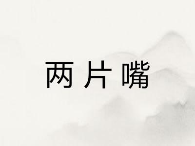 两片嘴