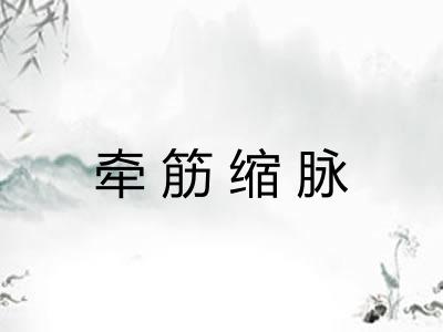牵筋缩脉