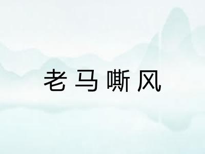 老马嘶风