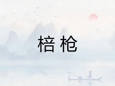 棓枪