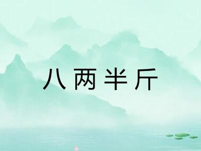 八两半斤