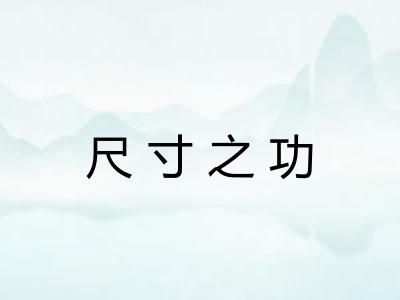 尺寸之功