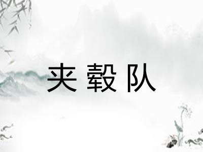 夹毂队