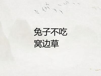 兔子不吃窝边草