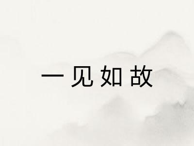 一见如故