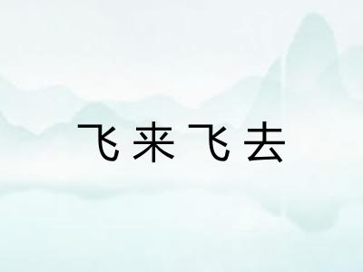 飞来飞去
