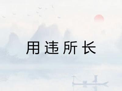 用违所长