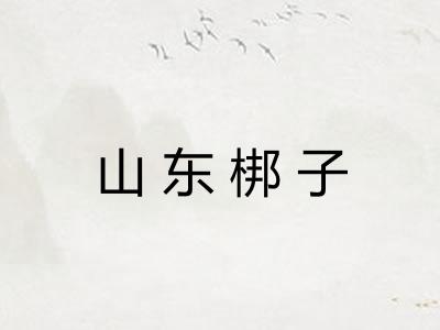 山东梆子